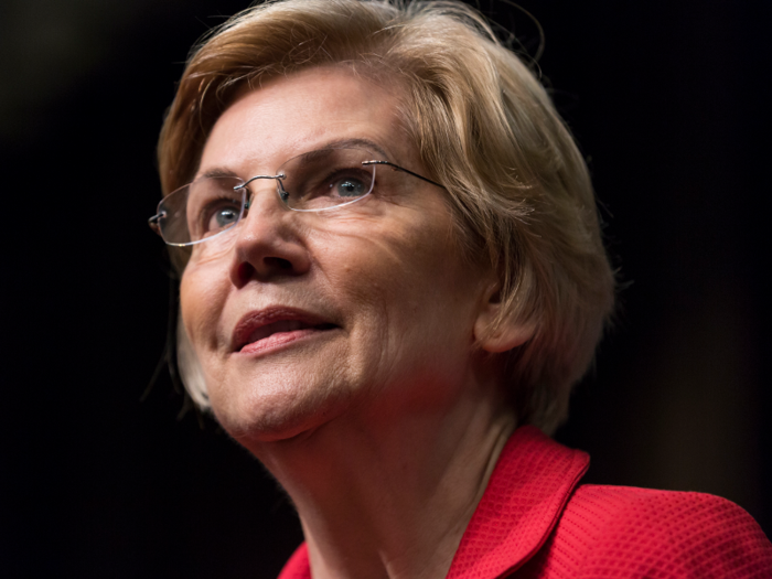 Elizabeth Warren, the US senator from Massachusetts (D), is fighting to improve capitalism