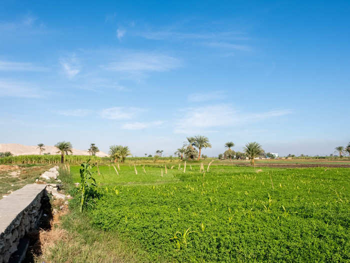 After the balloon ride, it was time to head to the West Bank of the Nile. The ancient city of Thebes was divided in half by the river. The east side, where the sun rises, was where people lived. The west side, where the sun sets, was where people buried their dead.