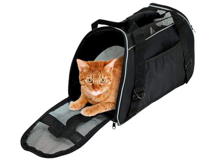 The best budget airline-friendly cat carrier