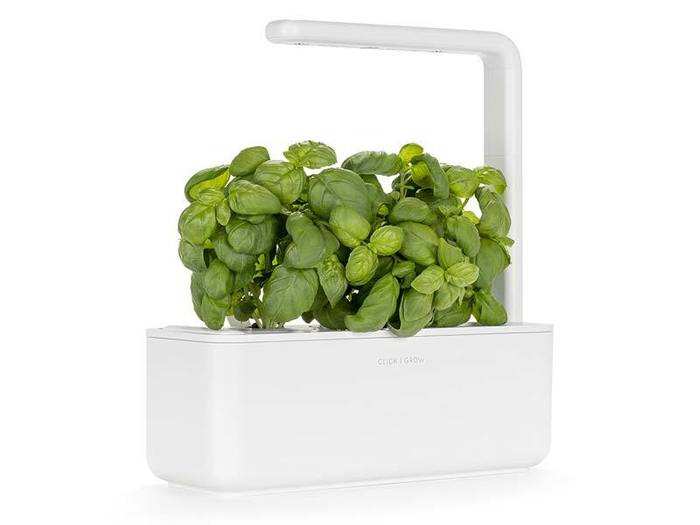 A self-watering, self-regulating indoor herb garden.