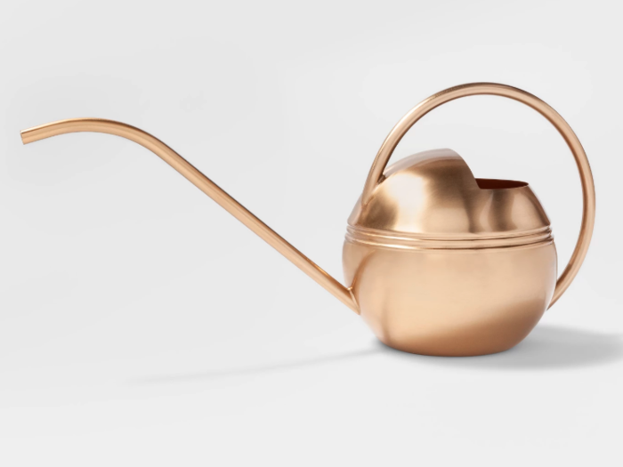 This sleek-looking watering can