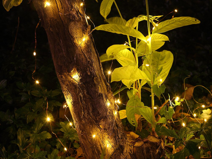 Decorate with outdoor lights