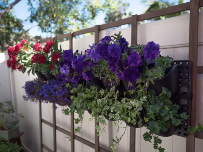 A vertical wall garden