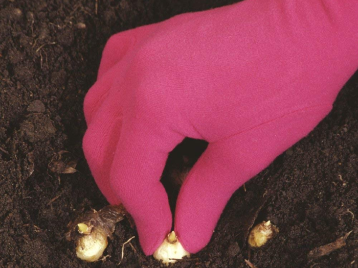 The best form-fitting gardening gloves