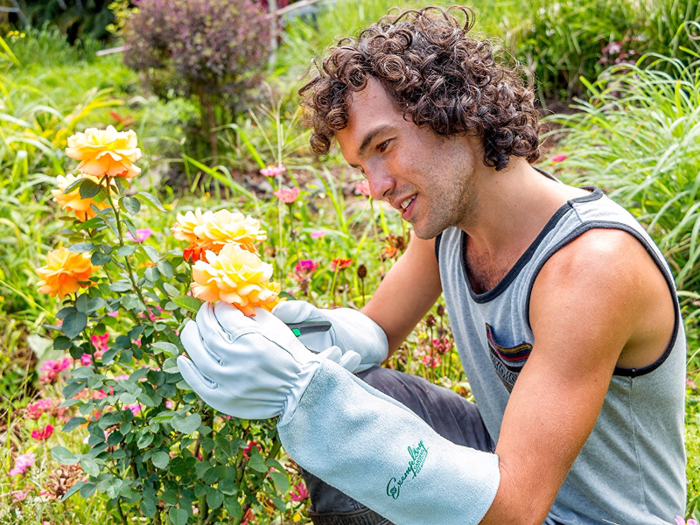 The best gardening gloves for thorny roses