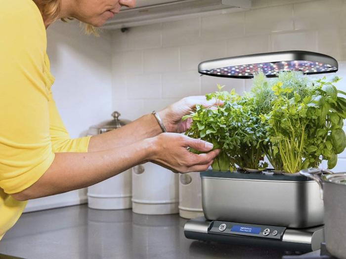 A smart herb garden