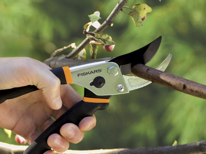 The best gardening tools for trees and shrubs