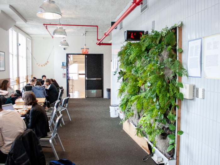 At a student lounge area with a living plant wall, students were chatting, working, and playing chess.