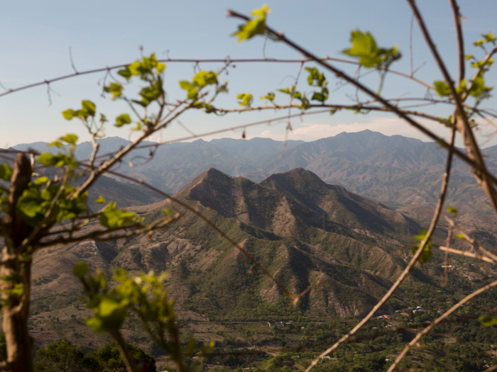 Norway cracked down on deforestation in its own country and in others.