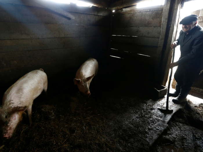 He told Reuters he wakes up at 6 a.m. to eat breakfast and feed his pigs and dog.