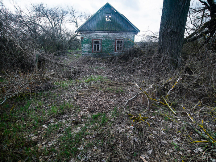 Vetrova lives in the village of Zalyshany, which is in the fourth zone of the exclusion zone, 32 miles southwest of the ruined power plant. After the nuclear meltdown in 1986, the most heavily affected areas in Ukraine were categorized into four zones. Evacuations were carried out in the first three, with residents there qualifying for resettlement.