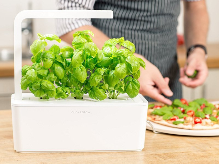 A self-watering indoor garden