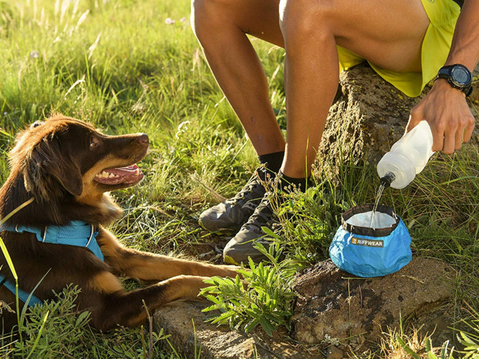 A foldable water and food bowl