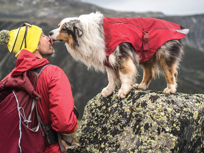 A coat to keep them warm during winter hikes