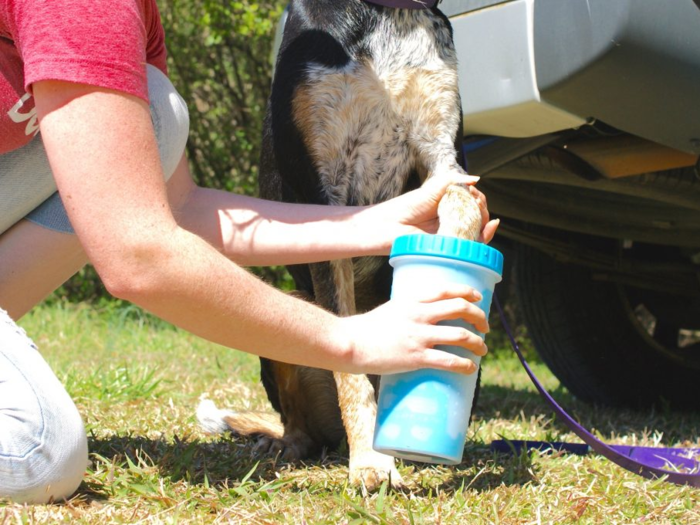 A portable paw cleaner for their muddy paws