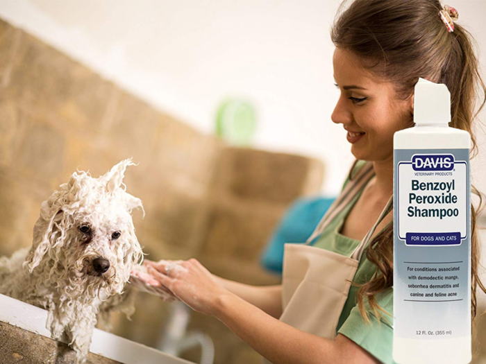 The best medicated dog shampoo for mange