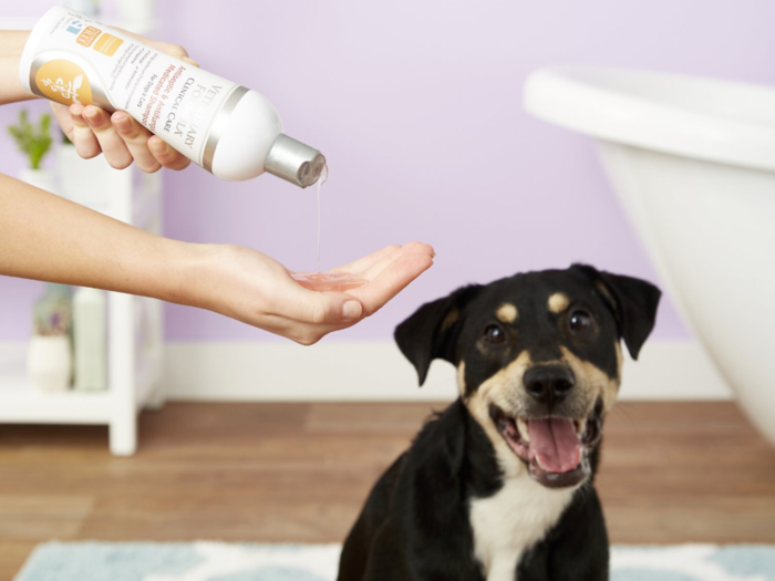 The best medicated dog shampoo for yeast infection