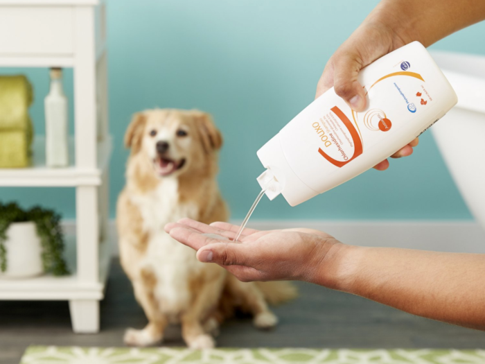 The best medicated dog shampoo for bacterial infection