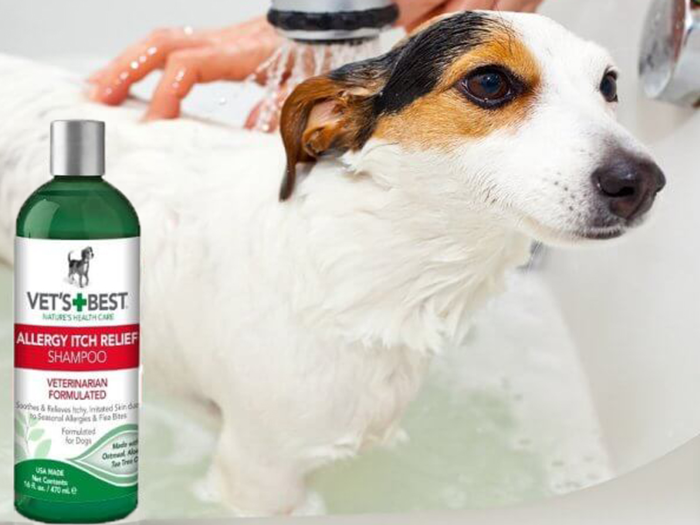 The best medicated dog shampoo for skin allergies