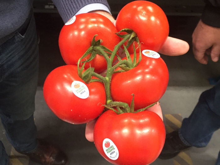 Crawford and Knoll said that different perishables require different temperatures in order to stay fresh. The perfect temperature for a tomato isn