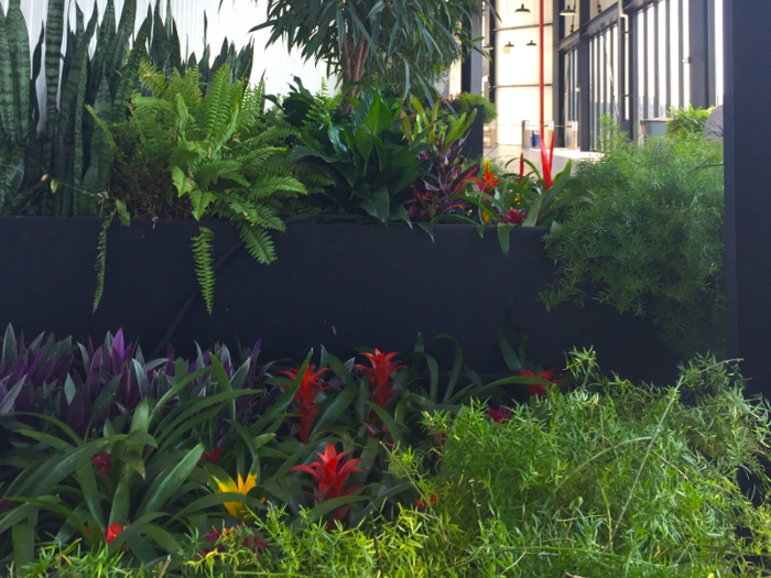 ... a whole swath of greenery in the lobby ...