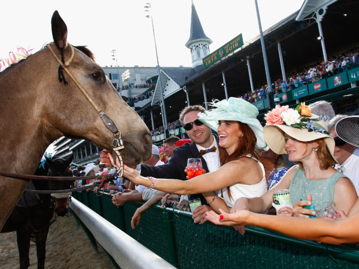 2. Used racehorse shoes