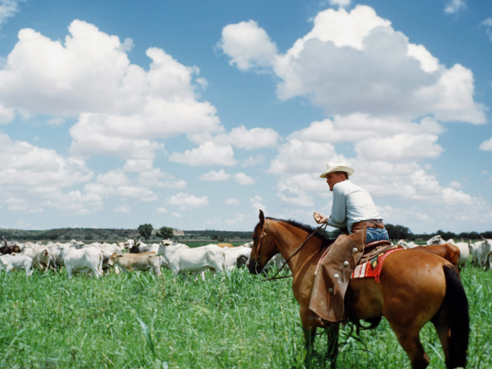 Shinkansen, Texas: $40 million