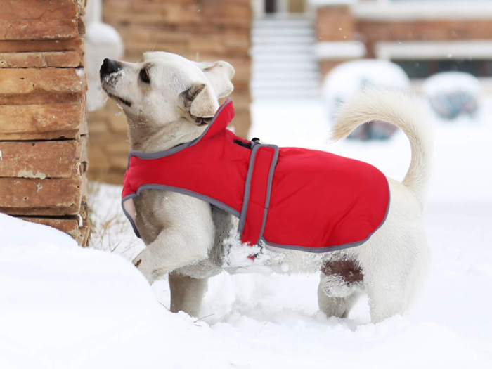 A cold weather vest