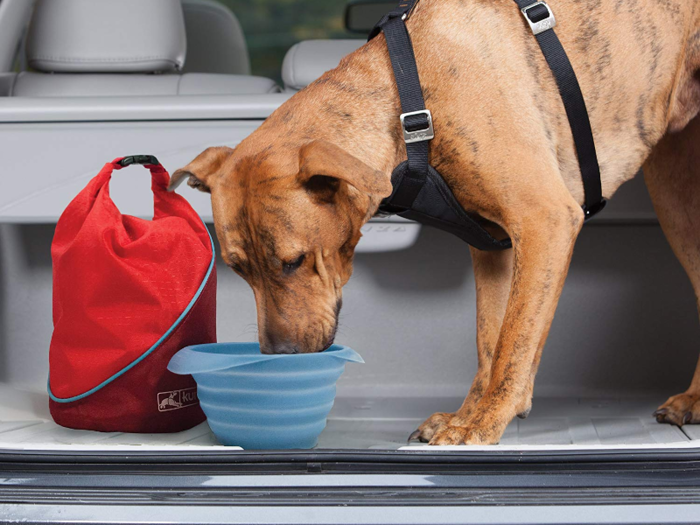 A dry sack to carry dog food in