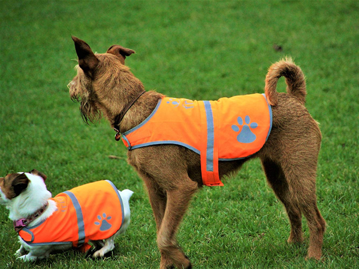 A reflective safety vest