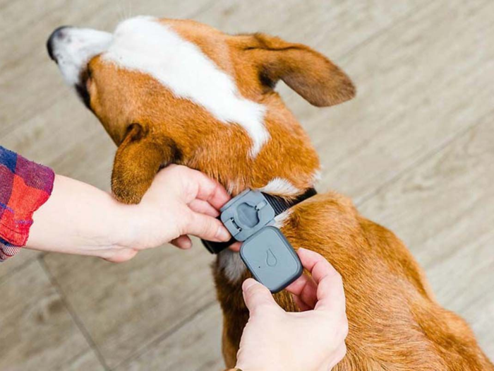 A GPS tracker for your dog