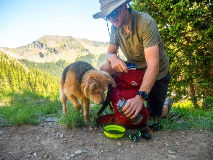 A set of collapsible food and water bowls