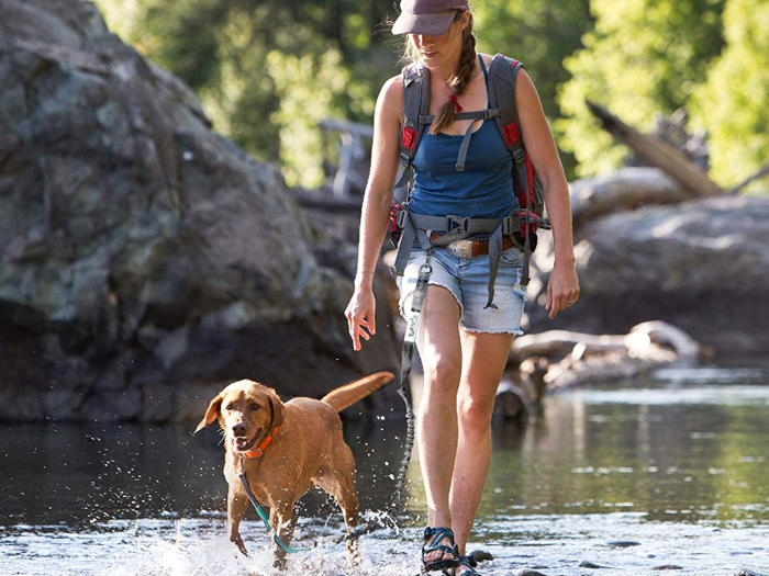 A hands-free leash