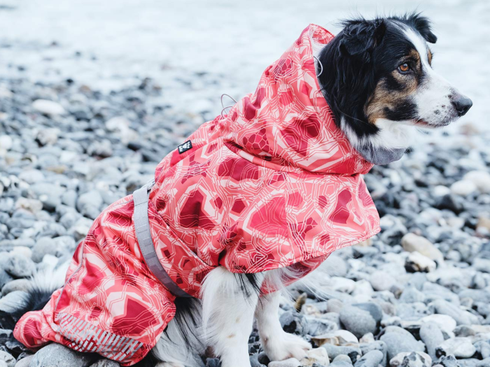 A warm coat for cold hikes