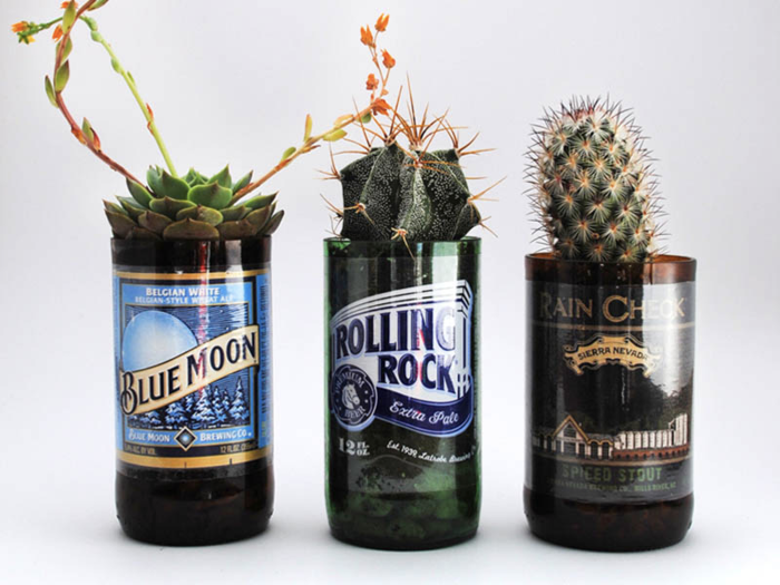 A handmade beer bottle planter