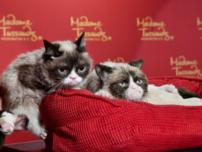 In 2016, Grumpy Cat was honored with a wax figure at Madame Tussauds in Las Vegas, a nod at the influence the feline has had on society and internet culture.