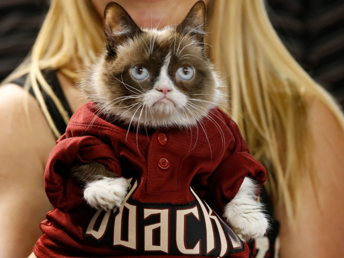 The Arizona-native made multiple cameos at Arizona Diamondbacks baseball games, sporting a personalized jersey and sometimes a miniature ballcap.