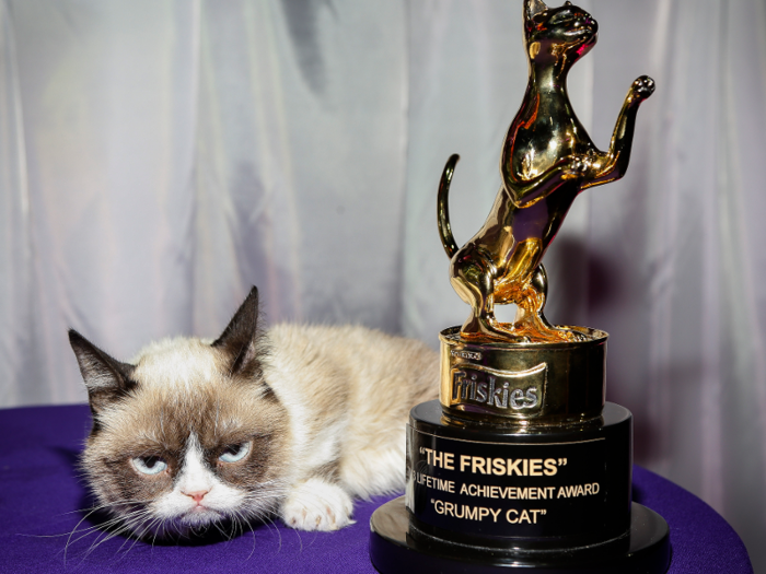 She was honored with a Lifetime Achievement Award at "The Friskies" award show in 2013 for "doing the most to help cats take over the Internet."