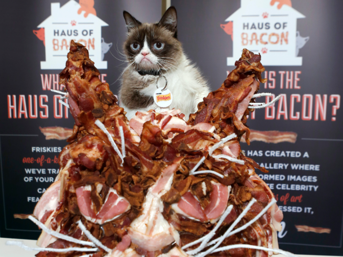 For one such event, a pop-up art gallery in Texas featured artwork of Grumpy Cat made entirely out of bacon.