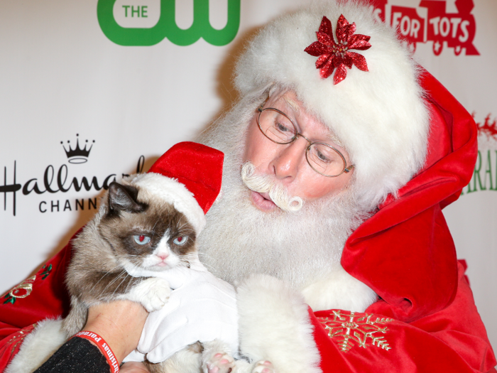 Grumpy Cat struck a deal with Lifetime in 2014 for a made-for-TV special called "Grumpy Cat