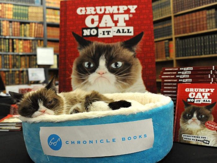 Grumpy Cat has a few books under her belt with titles like, "The Grumpy Guide to Life: Observation from Grumpy Cat," and "No-It-All: Everything You Need To No." Her 2013 book "Grumpy Cat: A Grumpy Book," made the New York Times