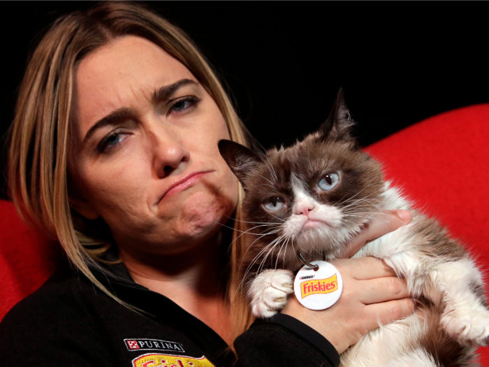 Grumpy Cat