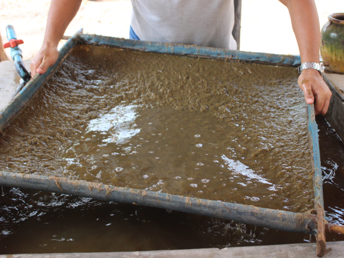 Though all the elephants at the camp are retired, they still create one product: a paper made from their fiber-rich poop.