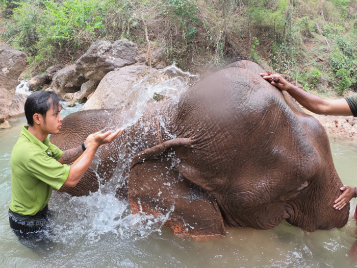 These baths, plus ample shade at the camp, ensure the elephants (and their handlers) don