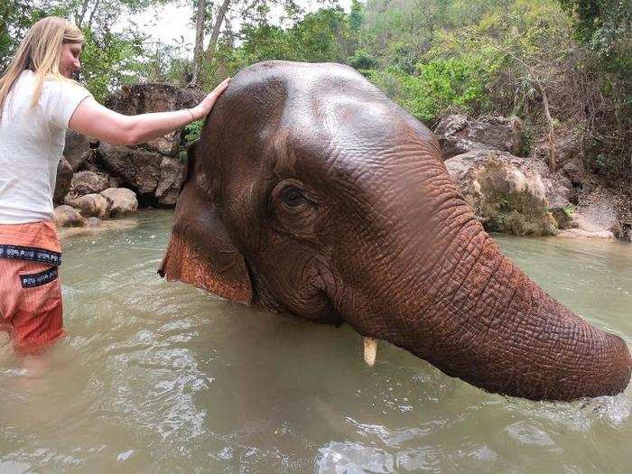 Around lunchtime, when the sun was blazing, we took a 40-year-old elephant named Htun Ma Ma for a bath in the river to help her cool off further.