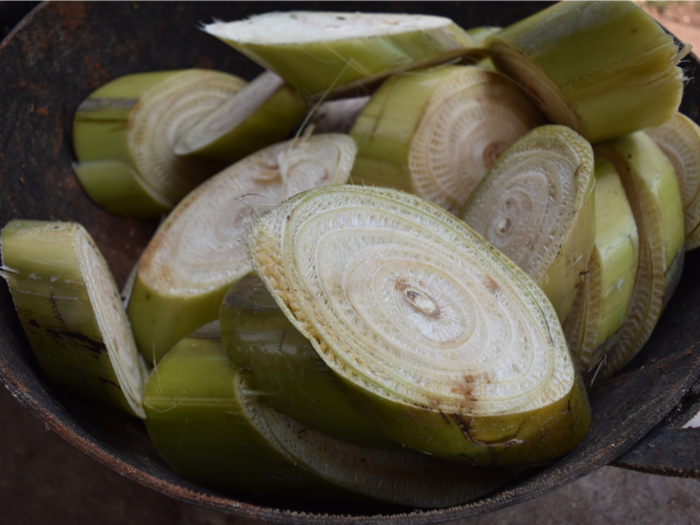 The bran was placed atop these cut banana stems.