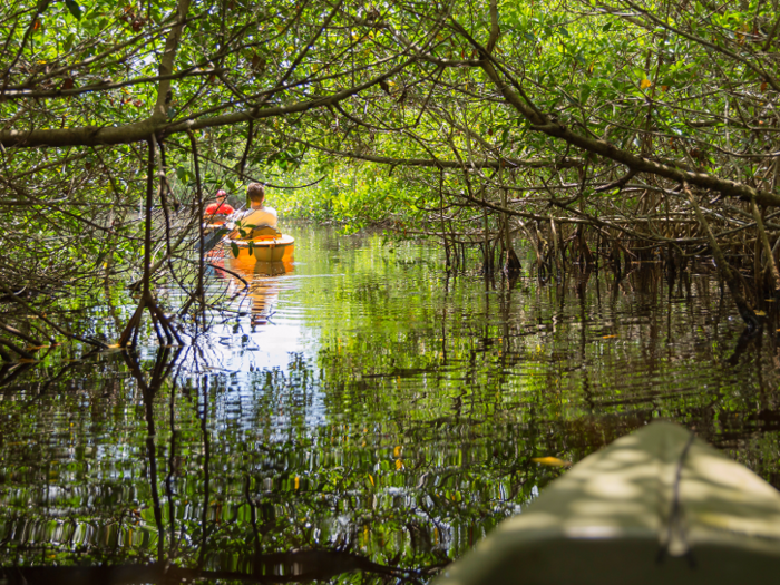 The Everglades generate more than $100 million for the Florida economy