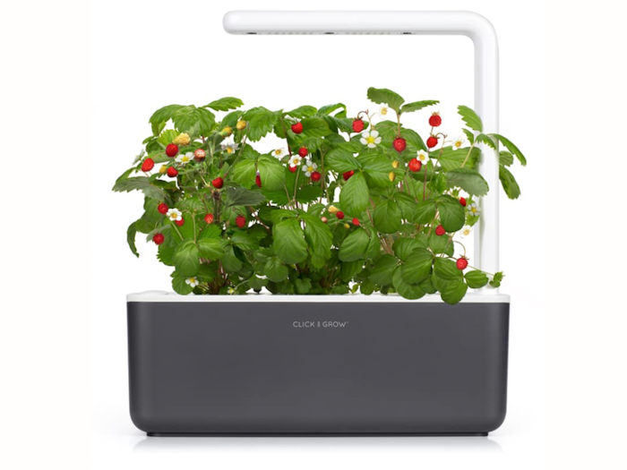 Click & Grow Smart Garden Three Self Watering Indoor Garden