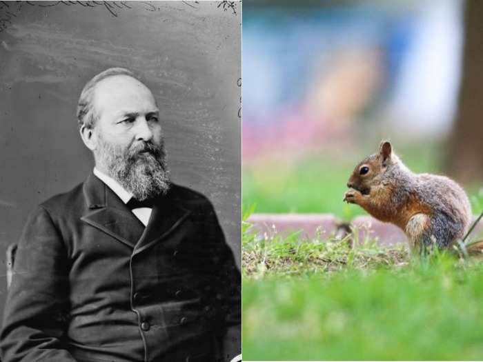 James Garfield: Squirrel soup