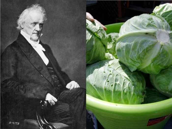 James Buchanan: Cabbage